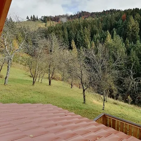 Prázdninový dům Golenovo