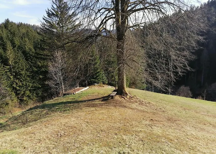 Golenovo Casa de Férias