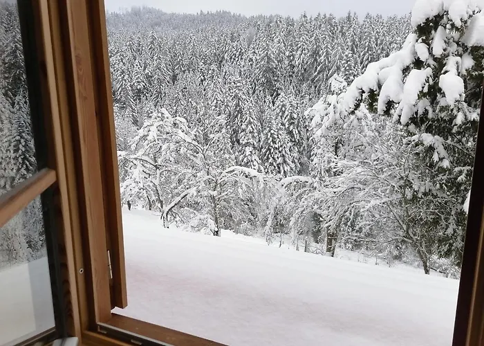 Golenovo Casa de Férias *